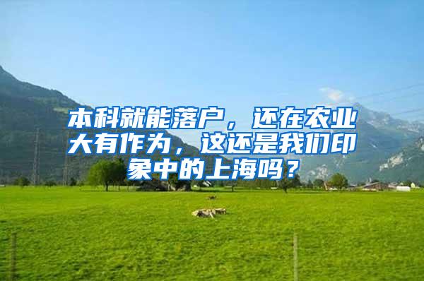 本科就能落户，还在农业大有作为，这还是我们印象中的上海吗？