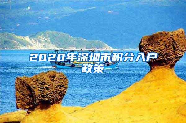 2020年深圳市积分入户政策