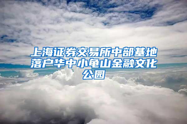 上海证券交易所中部基地落户华中小龟山金融文化公园