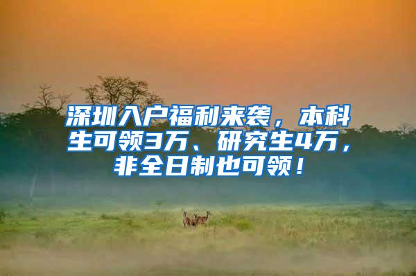 深圳入户福利来袭，本科生可领3万、研究生4万，非全日制也可领！