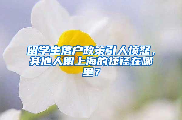 留学生落户政策引人愤怒，其他人留上海的捷径在哪里？