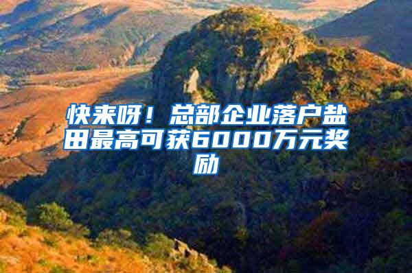 快来呀！总部企业落户盐田最高可获6000万元奖励