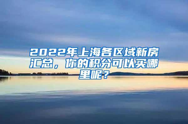 2022年上海各区域新房汇总，你的积分可以买哪里呢？