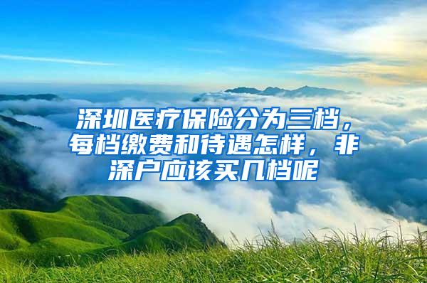 深圳医疗保险分为三档，每档缴费和待遇怎样，非深户应该买几档呢