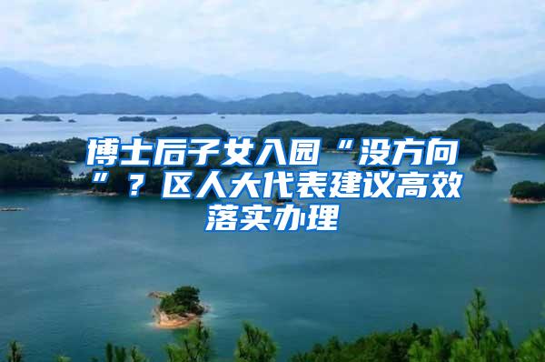 博士后子女入园“没方向”？区人大代表建议高效落实办理