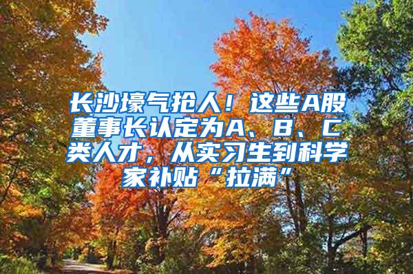 长沙壕气抢人！这些A股董事长认定为A、B、C类人才，从实习生到科学家补贴“拉满”