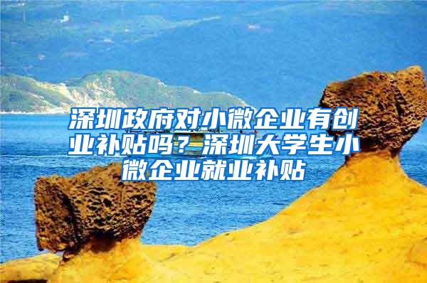 深圳政府对小微企业有创业补贴吗？深圳大学生小微企业就业补贴