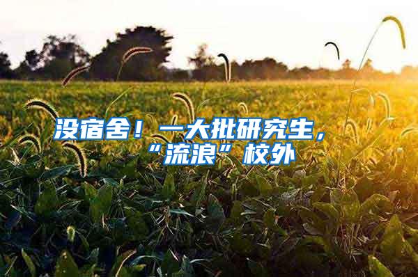 没宿舍！一大批研究生，“流浪”校外