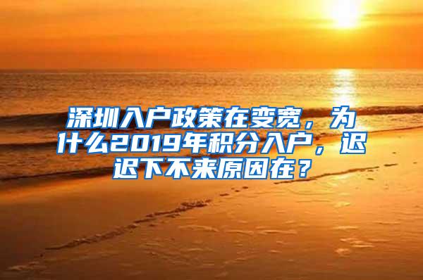 深圳入户政策在变宽，为什么2019年积分入户，迟迟下不来原因在？