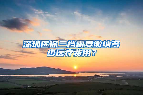 深圳医保三档需要缴纳多少医疗费用？