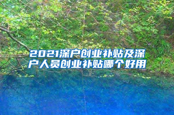 2021深户创业补贴及深户人员创业补贴哪个好用