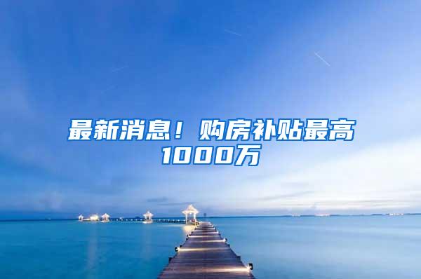 最新消息！购房补贴最高1000万