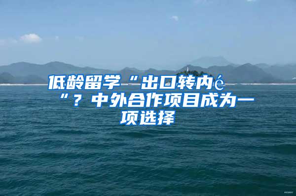 低龄留学“出口转内销“？中外合作项目成为一项选择