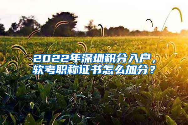 2022年深圳积分入户，软考职称证书怎么加分？