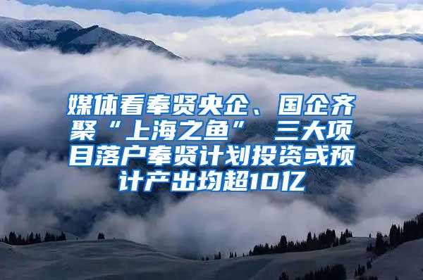 媒体看奉贤央企、国企齐聚“上海之鱼” 三大项目落户奉贤计划投资或预计产出均超10亿