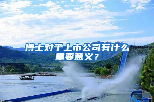 博士对于上市公司有什么重要意义？