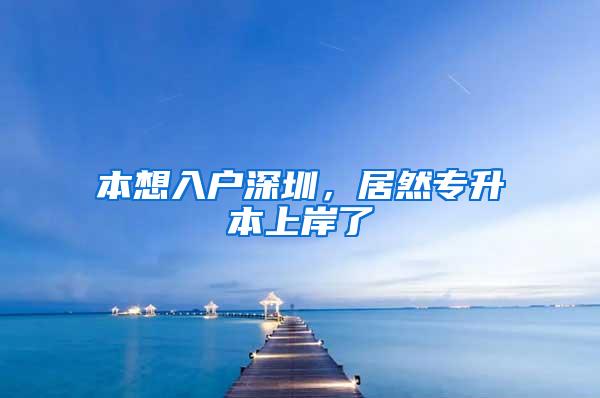 本想入户深圳，居然专升本上岸了