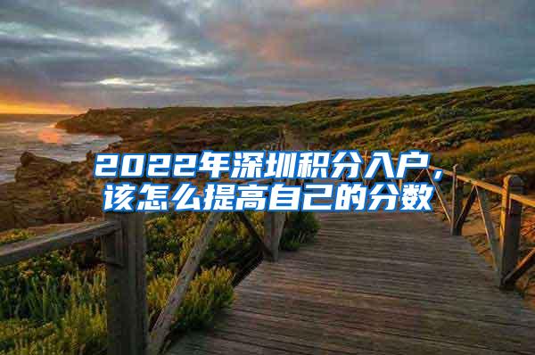 2022年深圳积分入户，该怎么提高自己的分数