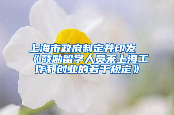上海市政府制定并印发《鼓励留学人员来上海工作和创业的若干规定》