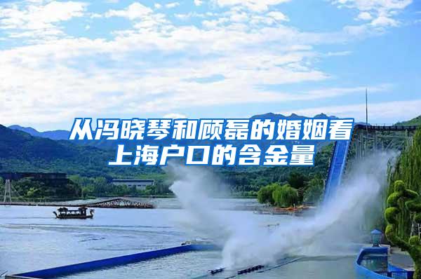 从冯晓琴和顾磊的婚姻看上海户口的含金量