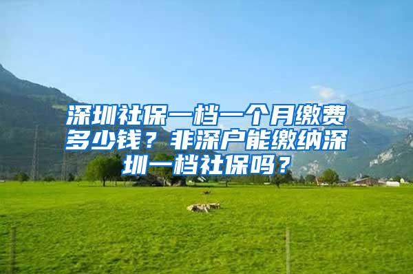 深圳社保一档一个月缴费多少钱？非深户能缴纳深圳一档社保吗？