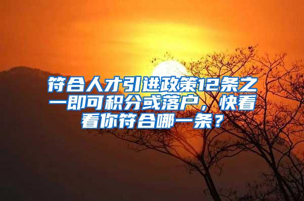 符合人才引进政策12条之一即可积分或落户，快看看你符合哪一条？