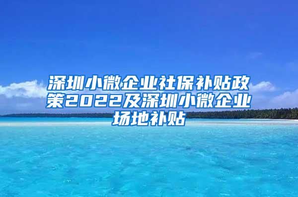 深圳小微企业社保补贴政策2022及深圳小微企业场地补贴