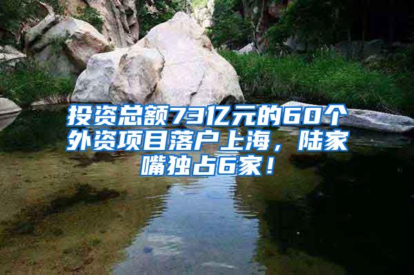 投资总额73亿元的60个外资项目落户上海，陆家嘴独占6家！