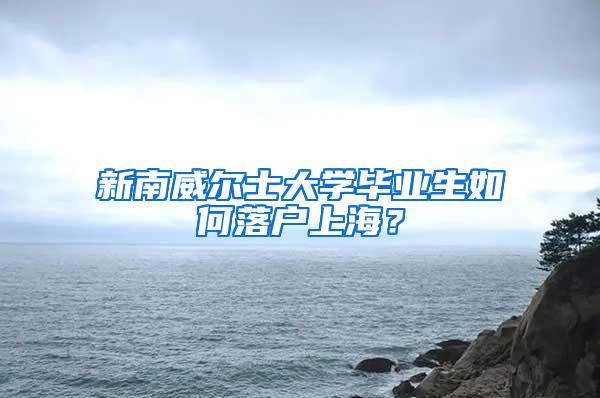 新南威尔士大学毕业生如何落户上海？