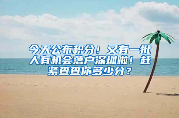 今天公布积分！又有一批人有机会落户深圳啦！赶紧查查你多少分？