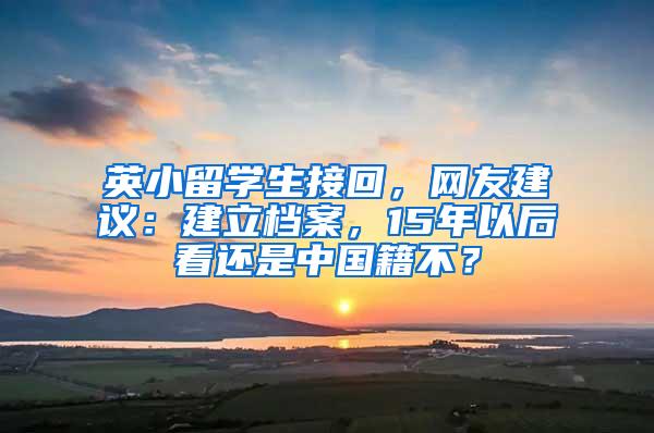 英小留学生接回，网友建议：建立档案，15年以后看还是中国籍不？