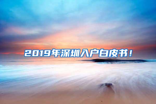 2019年深圳入户白皮书！