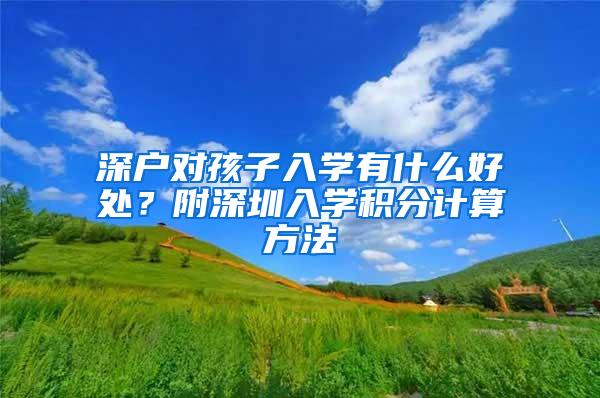 深户对孩子入学有什么好处？附深圳入学积分计算方法