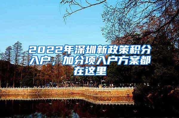 2022年深圳新政策积分入户，加分项入户方案都在这里