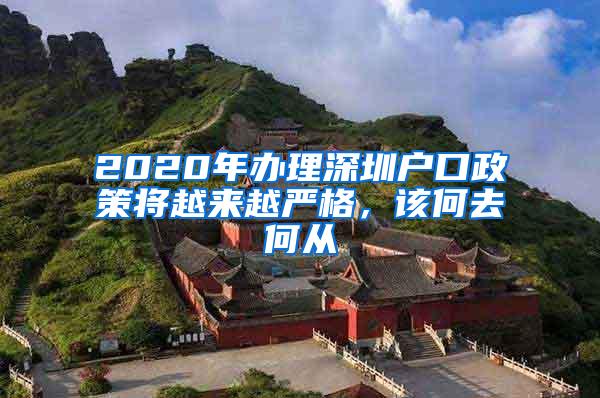 2020年办理深圳户口政策将越来越严格，该何去何从