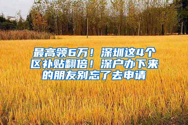 最高领6万！深圳这4个区补贴翻倍！深户办下来的朋友别忘了去申请