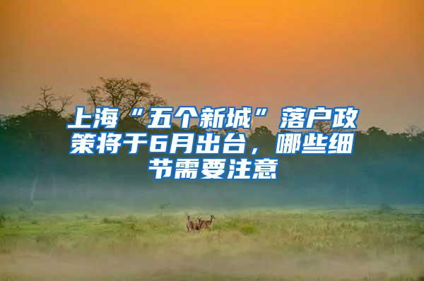 上海“五个新城”落户政策将于6月出台，哪些细节需要注意