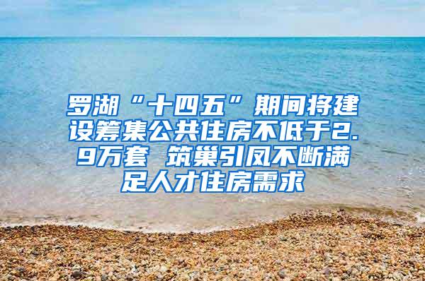 罗湖“十四五”期间将建设筹集公共住房不低于2.9万套 筑巢引凤不断满足人才住房需求