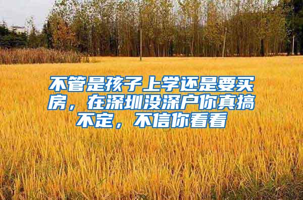 不管是孩子上学还是要买房，在深圳没深户你真搞不定，不信你看看