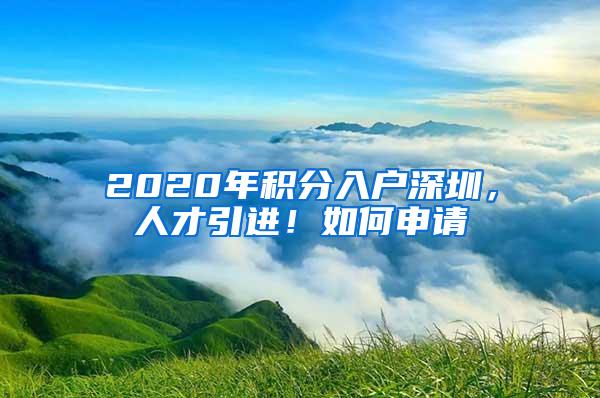 2020年积分入户深圳，人才引进！如何申请
