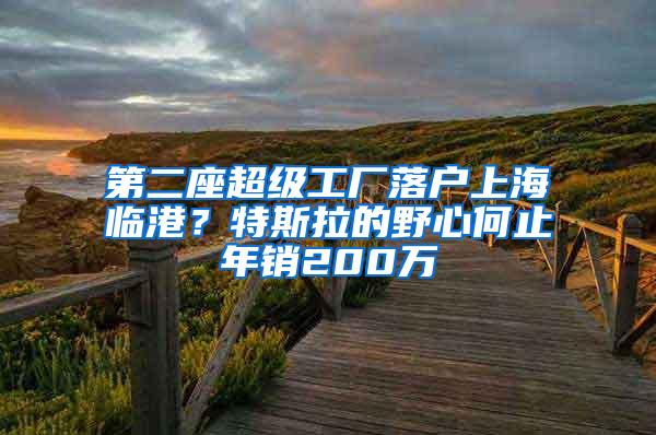 第二座超级工厂落户上海临港？特斯拉的野心何止年销200万