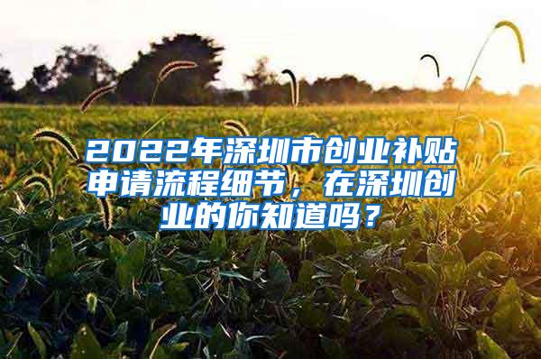 2022年深圳市创业补贴申请流程细节，在深圳创业的你知道吗？