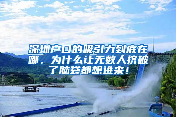 深圳户口的吸引力到底在哪，为什么让无数人挤破了脑袋都想进来！