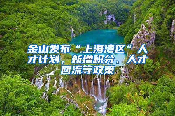 金山发布“上海湾区”人才计划，新增积分、人才回流等政策