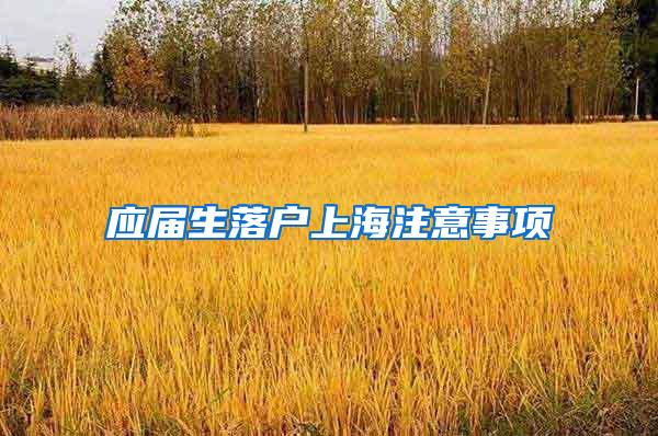 应届生落户上海注意事项