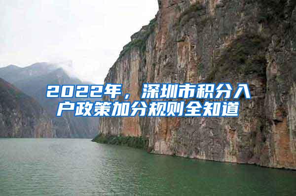 2022年，深圳市积分入户政策加分规则全知道