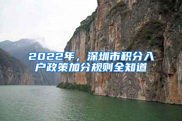 2022年，深圳市积分入户政策加分规则全知道