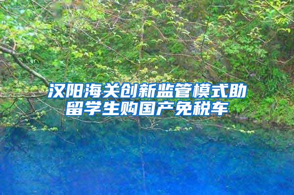 汉阳海关创新监管模式助留学生购国产免税车