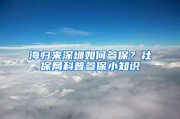 海归来深圳如何参保？社保局科普参保小知识