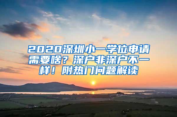 2020深圳小一学位申请需要啥？深户非深户不一样！附热门问题解读